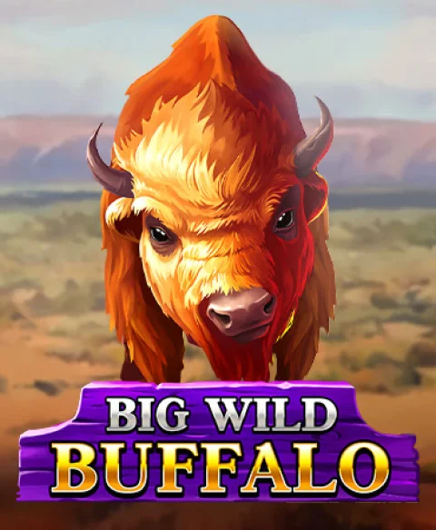 Play Big Wild Buffalo at Eight Storm Casino